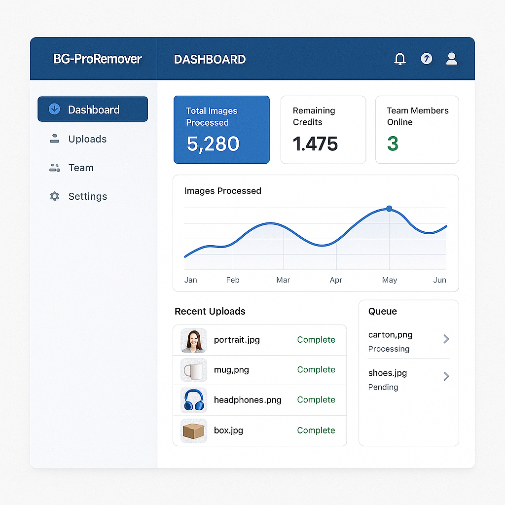 BG-ProRemover Dashboard